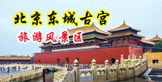 c女人的屄在线观看中国北京-东城古宫旅游风景区